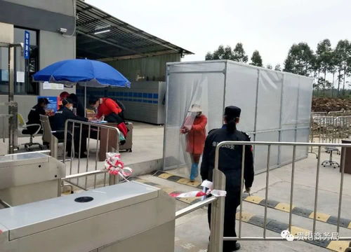 貴港市1 2月外貿(mào)進(jìn)出口增速全區(qū)第一