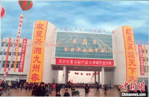 農批市場 自我革命 轉型升級 發展趨勢 劍指 數字化 智慧化