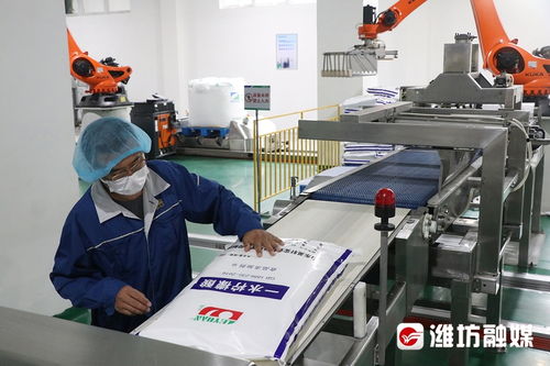 濰坊經濟新看點 濰坊制造 掘金 一帶一路