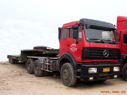 廣州鑫茂物流 廣州市太和鎮淇駿貨運市場c棟1 3檔 珠三角至福建 重慶 浙江 上海 江蘇 武漢 河南 廣西 湖南 貴州 昆明 海南 西寧 烏魯木齊 山東 河北 鄭州 北京 西安 蘭州 合肥 東北三省 汕頭各地的回頭車 產品展廳