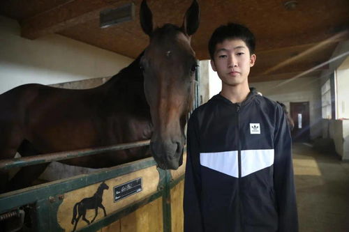 生力軍大量涌現 2020 東馬國際 馬術場地障礙東北聯賽沈陽東駿站圓滿舉行