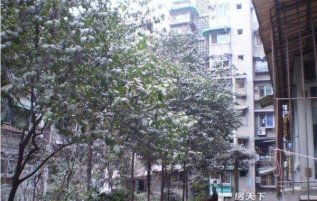 東駿湖景灣怎么樣 東駿湖景灣和成渝綜合樓哪個好 成都安居客