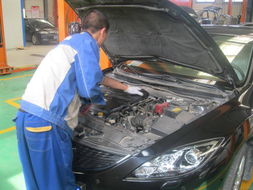 山東東駿達(dá)5.15服務(wù)實(shí)例深度解析 專業(yè)服務(wù)成就客戶信賴